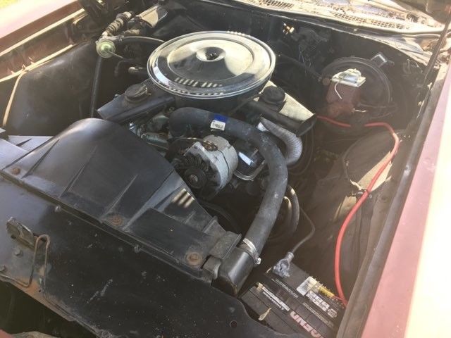 1969 Pontiac GTO - photo 12