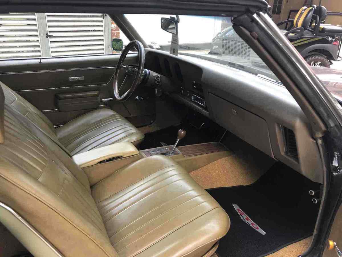1969 Pontiac GTO Lemans/Clone - photo 10