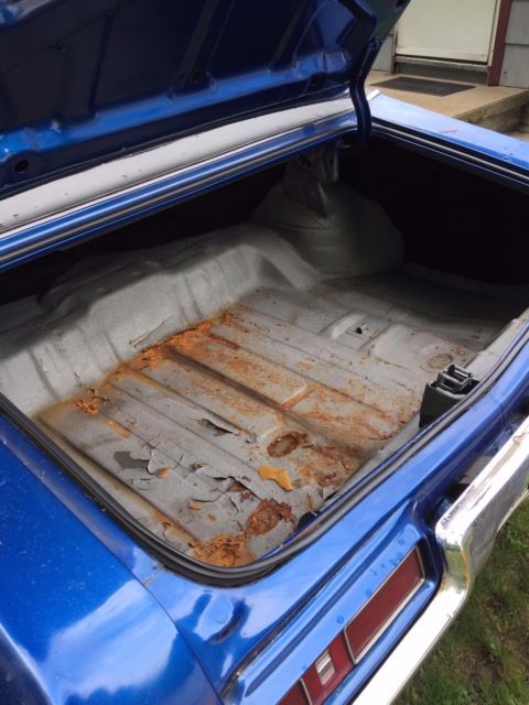 1969 Pontiac Le Mans - photo 10