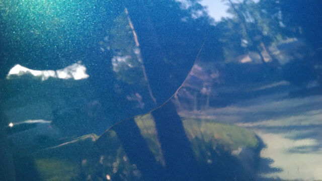 1969 Pontiac Tempest Base - photo 12