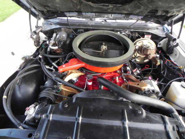 1969 Oldsmobile 442 cameo white, fire frost gold with black pin strip - photo 13