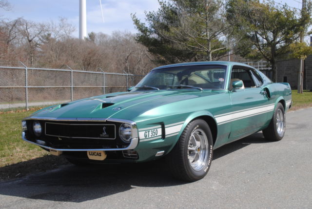 1969 Shelby GT 350 Fastback - photo 13