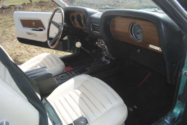 1969 Shelby GT 350 Fastback - photo 4