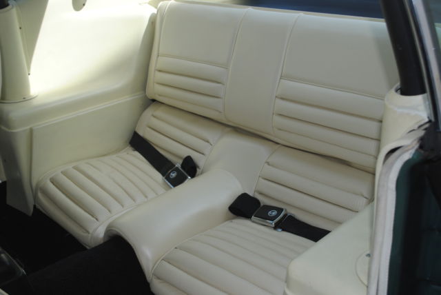 1969 Shelby GT 350 Fastback - photo 6