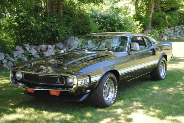 1969 Shelby GT 350 Fastback - photo 9
