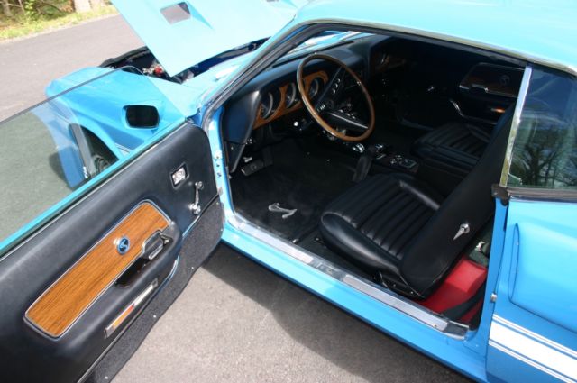 1969 Shelby Cobra GT 350 - photo 11