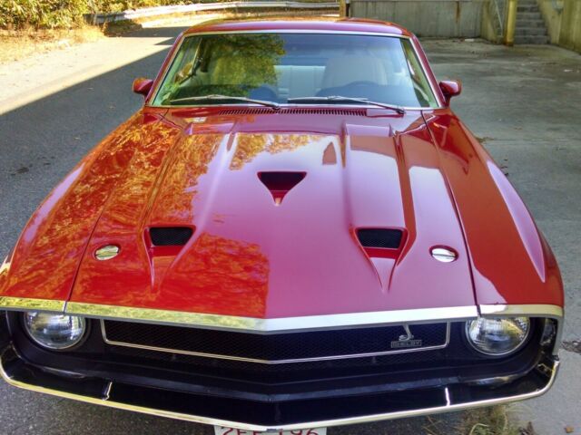 1969 Ford Mustang Shelby - photo 2
