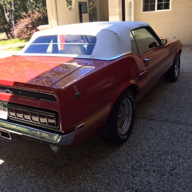 1969 Shelby Shelby GT500 GT500 Convertible - photo 3