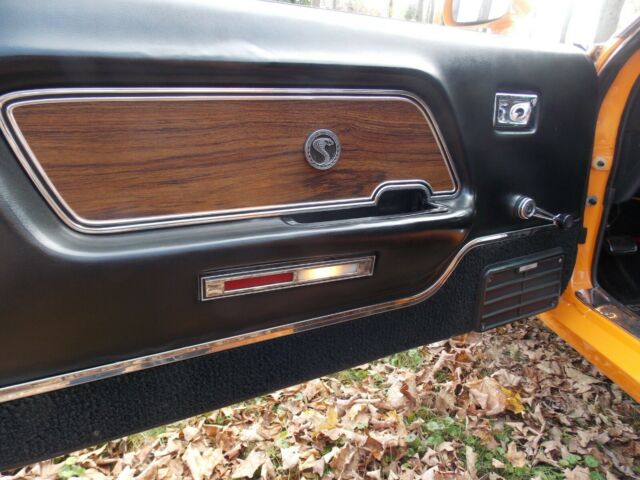 1969 Shelby Cobra Fastback - photo 12