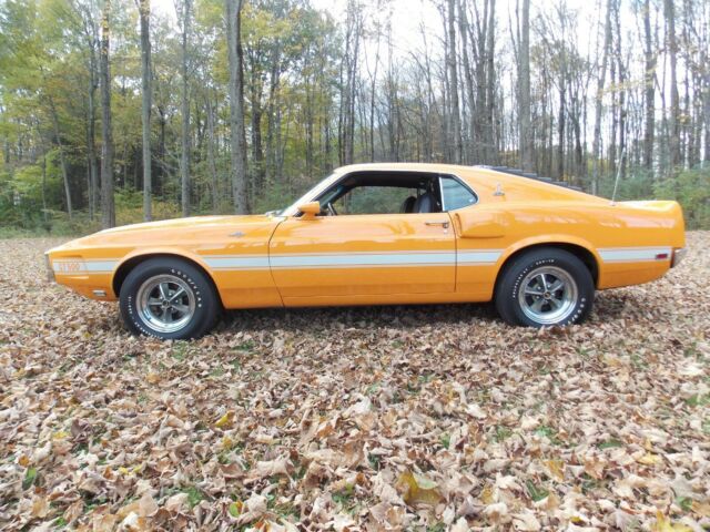 1969 Shelby Cobra Fastback - photo 6