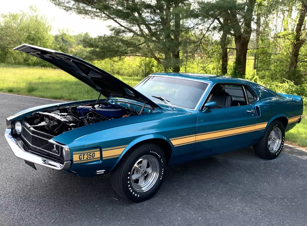 1969 Shelby Mustang GT350 1969 Shelby GT350 ....Trades