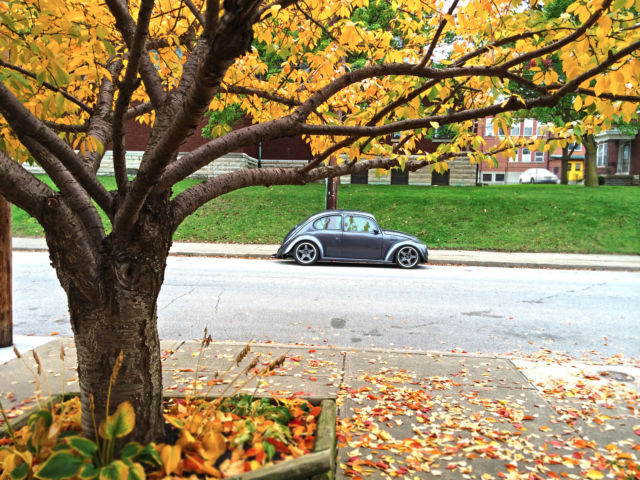 1969 Volkswagen Beetle - Classic - photo 2