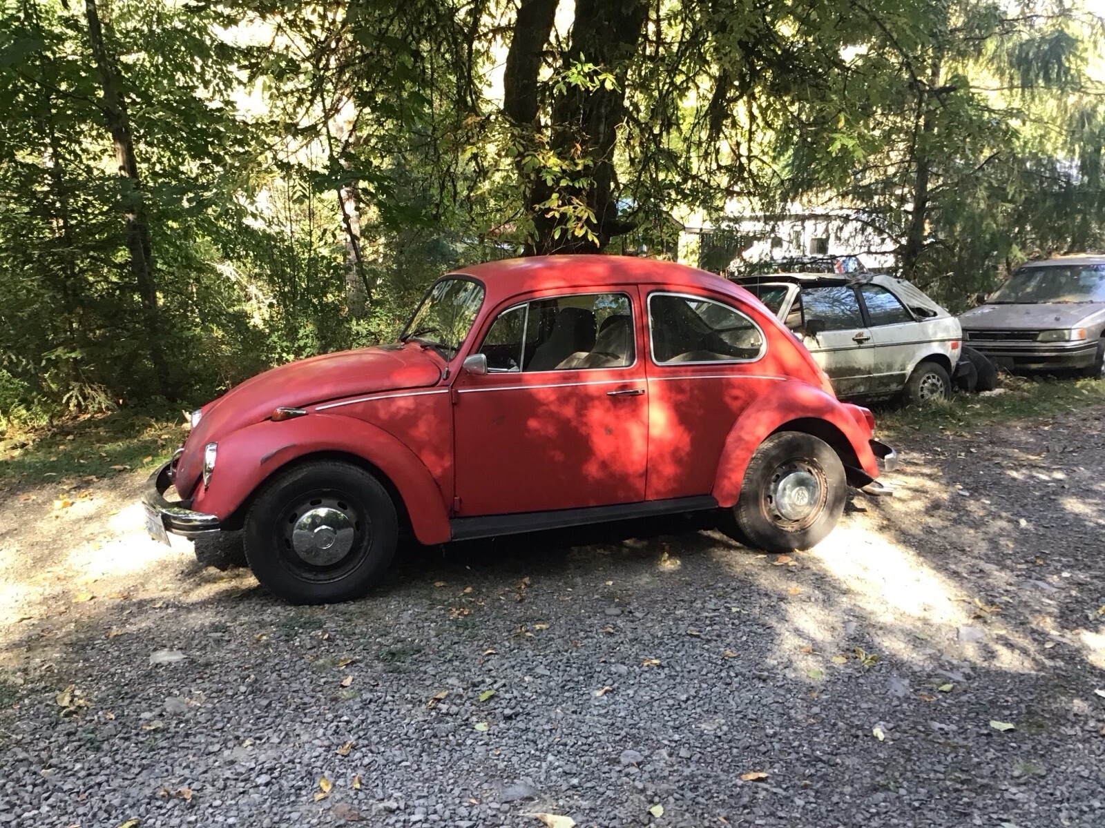 1969 Volkswagen Beetle (Pre-1980) base - photo 5