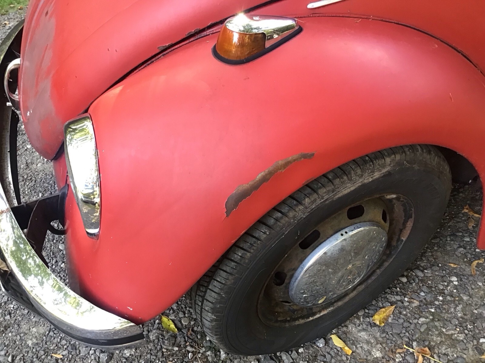 1969 Volkswagen Beetle (Pre-1980) base - photo 8