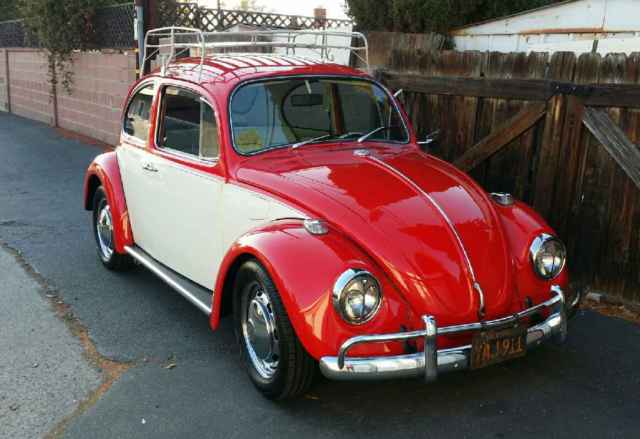 1969 Volkswagen beetle VW Bug air cooled 1969 Volkswagen Beetle - Classic