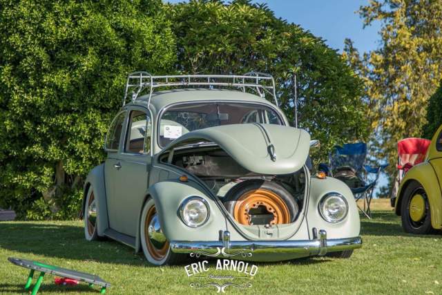 1969 Volkswagen Bug - Classic 1969 Volkswagen Beetle - Classic n/a
