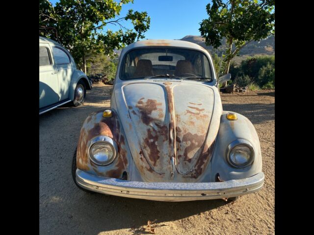 1969 VW Automatic Stick 1969 Volkswagen Beetle - Classic