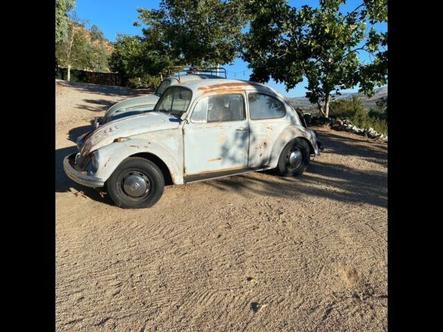 1969 Volkswagen Beetle - Classic - photo 2