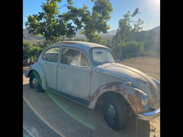 1969 Volkswagen Beetle - Classic - photo 3