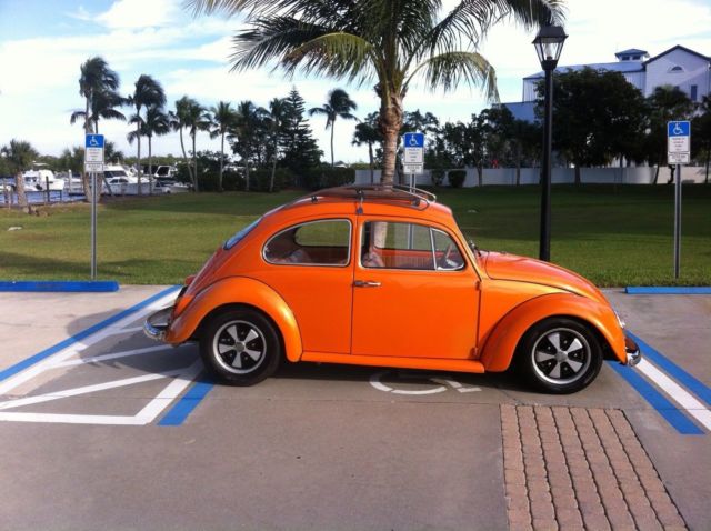 1969 Volkswagen Beetle - Classic sedan - photo 2