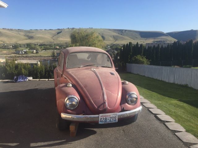 1969 vw beetle bug just rolled out of the garage get ready for summer project 1969 Volkswagen Beetle - Classic