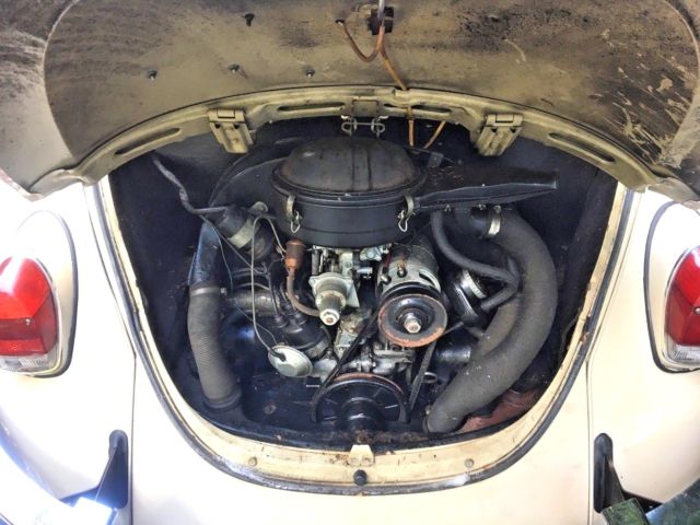 1969 Volkswagen Beetle - Classic - photo 4