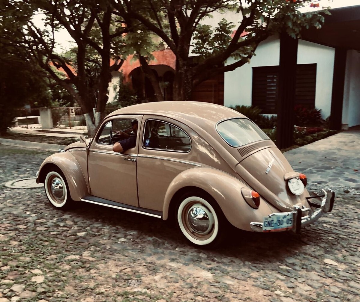 1969 Volkswagen Beetle - Classic - photo 3