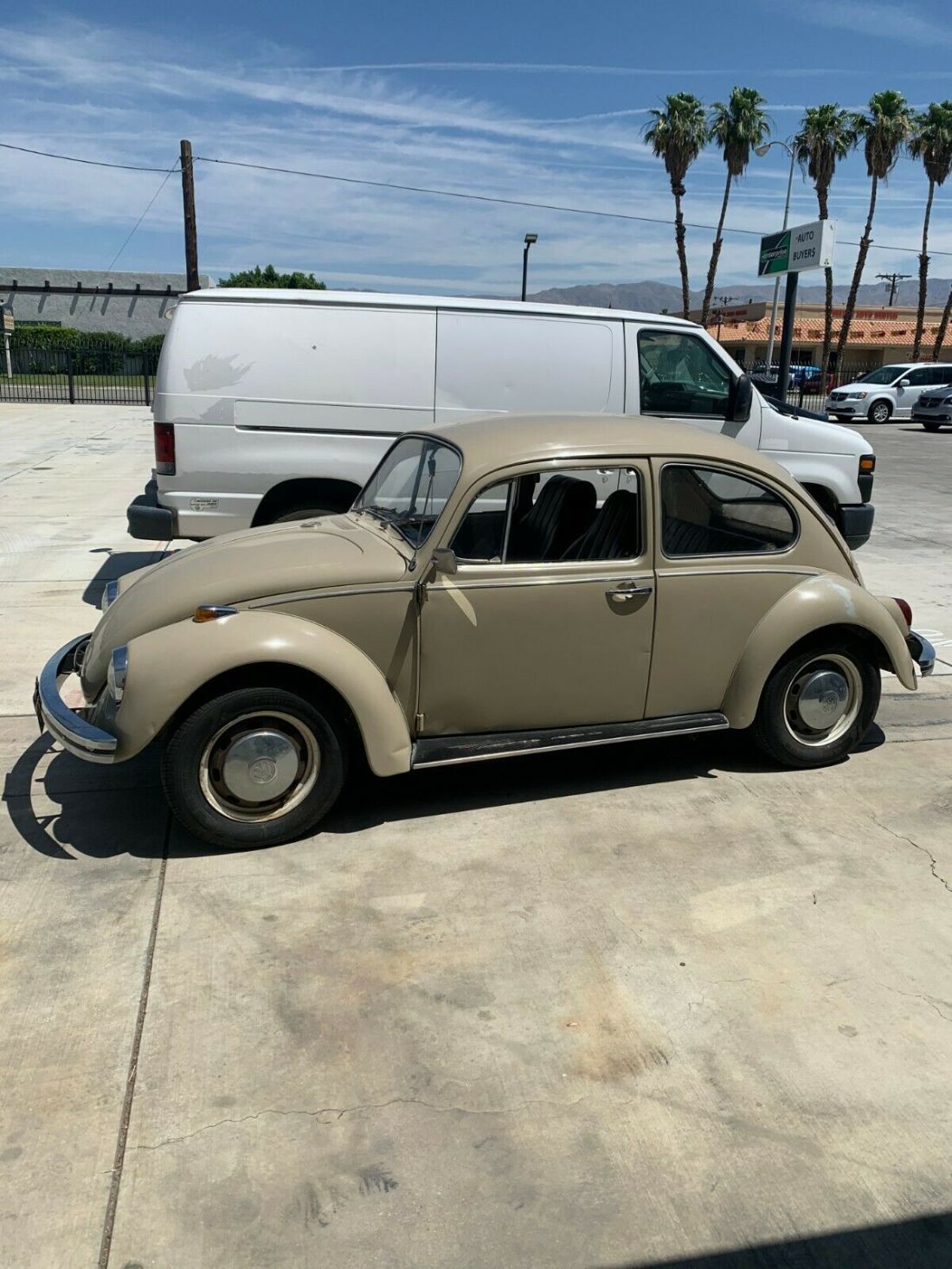 1969 Volkswagen Beetle - Classic - photo 2