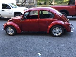 1969 VW Beetle SHOW CAR 1969 Volkswagen Beetle - Classic