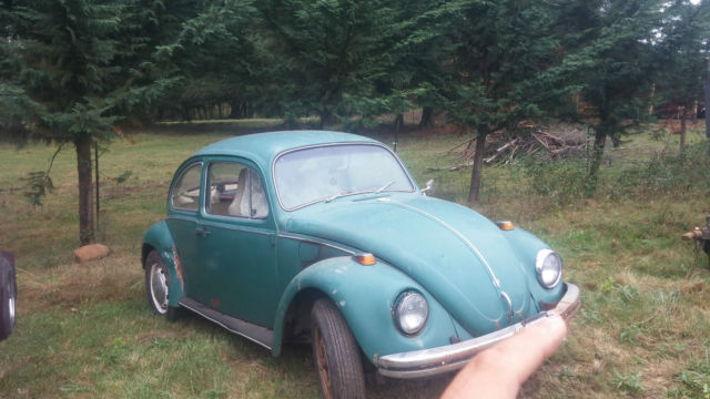 1969 Volkswagen Beetle - Classic - photo 3