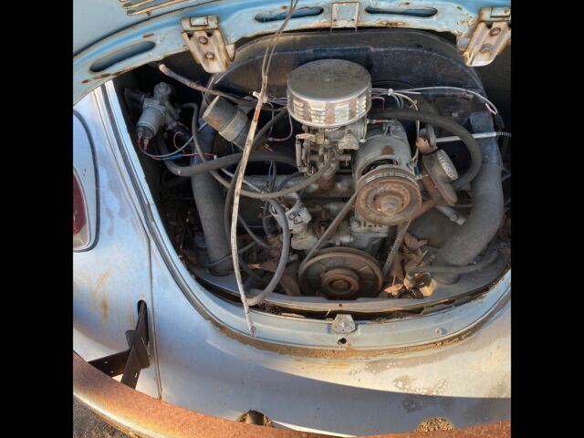 1969 Volkswagen Beetle - Classic - photo 8