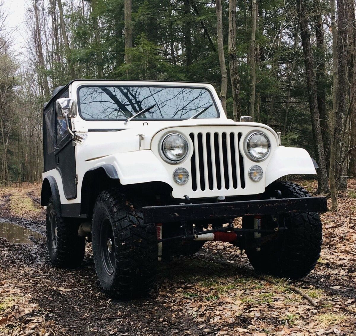 1969 Willys CJ-5 - photo 7