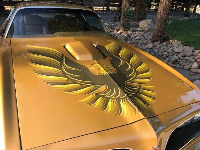 1978 Pontiac Trans Am WS4 - photo 11
