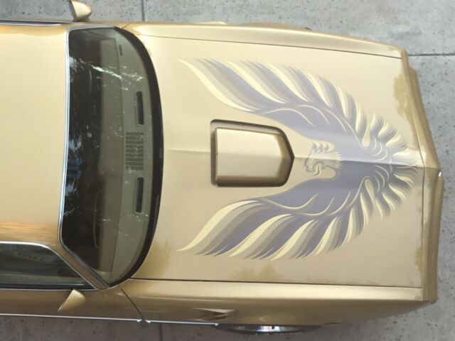 1978 Pontiac Trans Am - photo 6