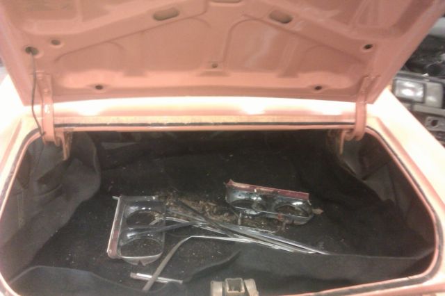 1970 Buick Skylark - photo 8