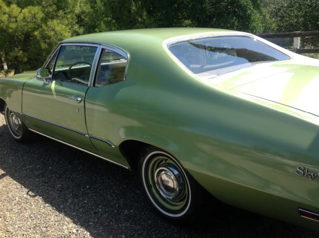 1970 Buick Skylark - photo 4