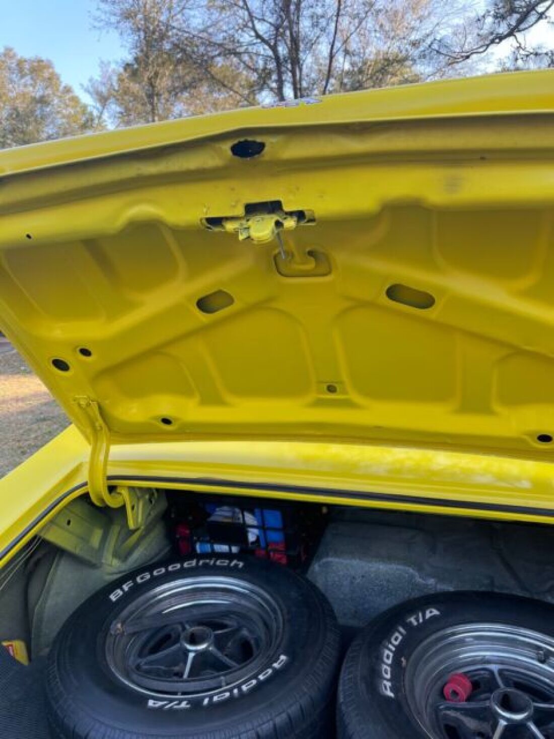 1970 Buick Skylark Custom - photo 10