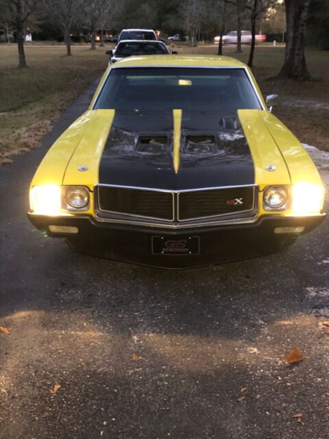 1970 Buick Skylark Custom - photo 4