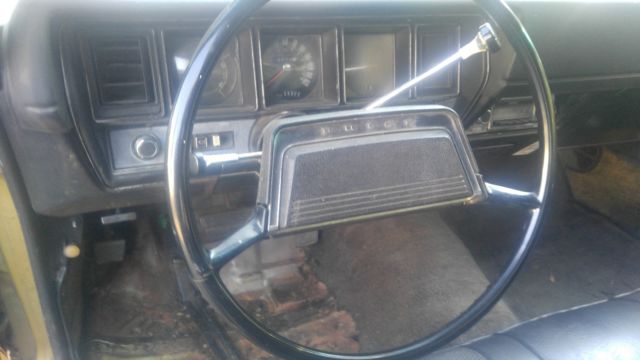 1970 Buick Skylark - photo 9