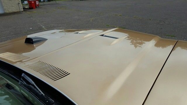 1970 Buick Skylark GS Tribute - photo 13