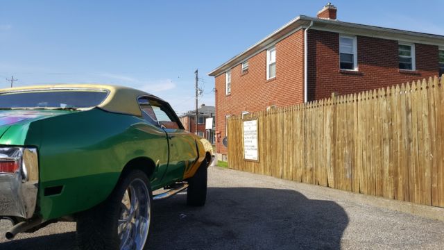 1970 Buick Skylark - photo 3
