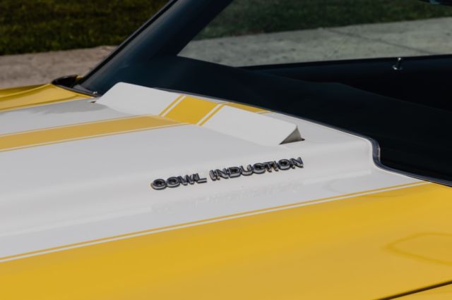 1970 Chevrolet Chevelle Super Sport - photo 10