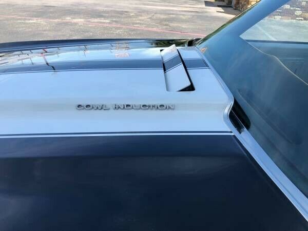 1970 Chevrolet Chevelle SS - photo 10