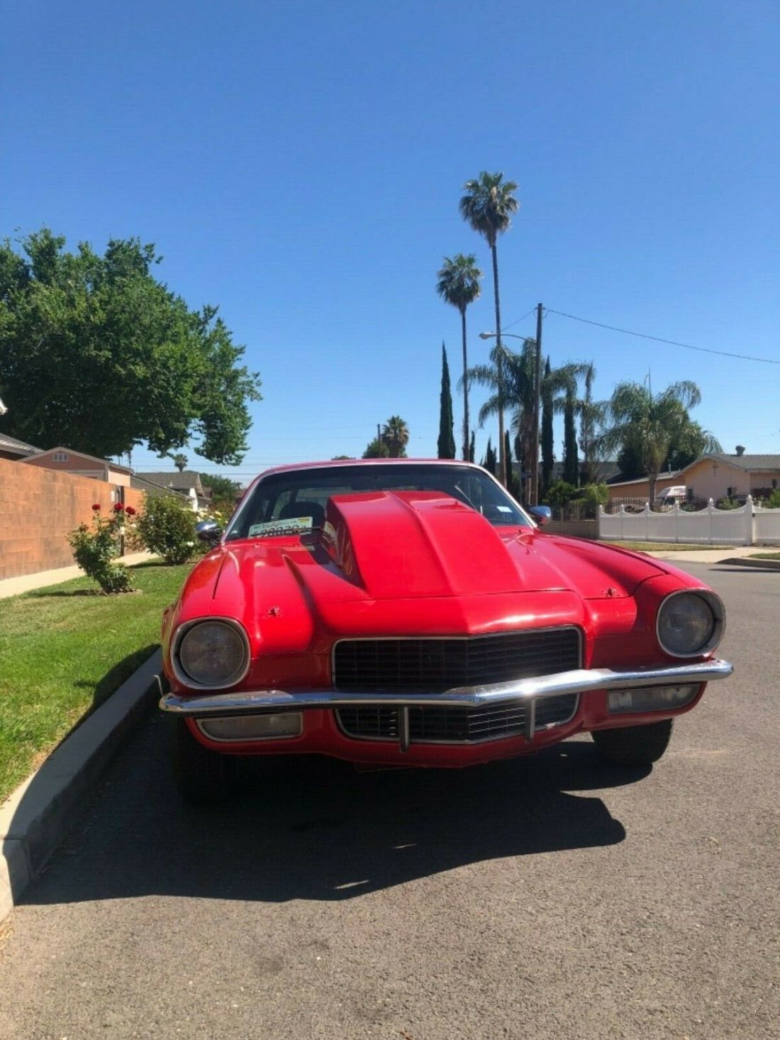 1970 Chevrolet Camaro 350 4 Barrel Carb Street Legal Dragster 1970 Chevrolet Camaro