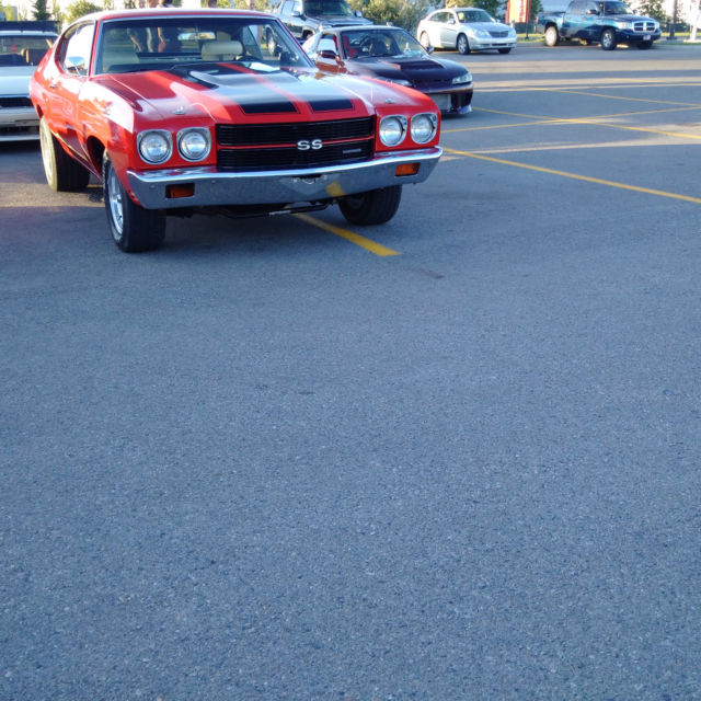 1970 Chevrolet Chevelle Malibu Concours - photo 11