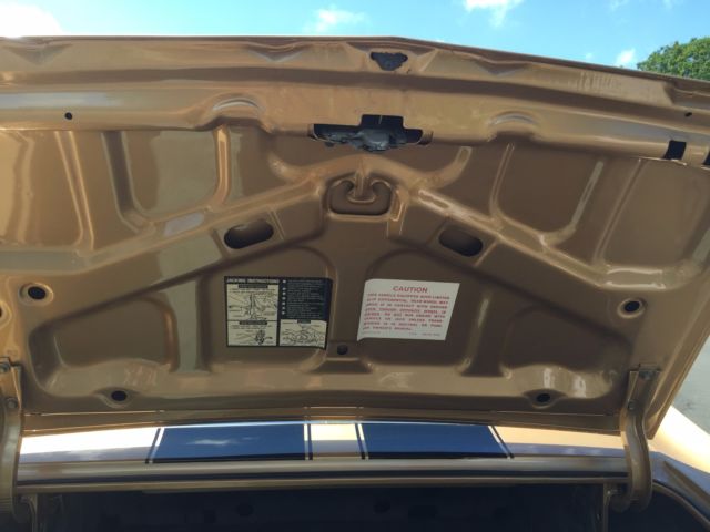1970 Chevrolet Chevelle SS - photo 11