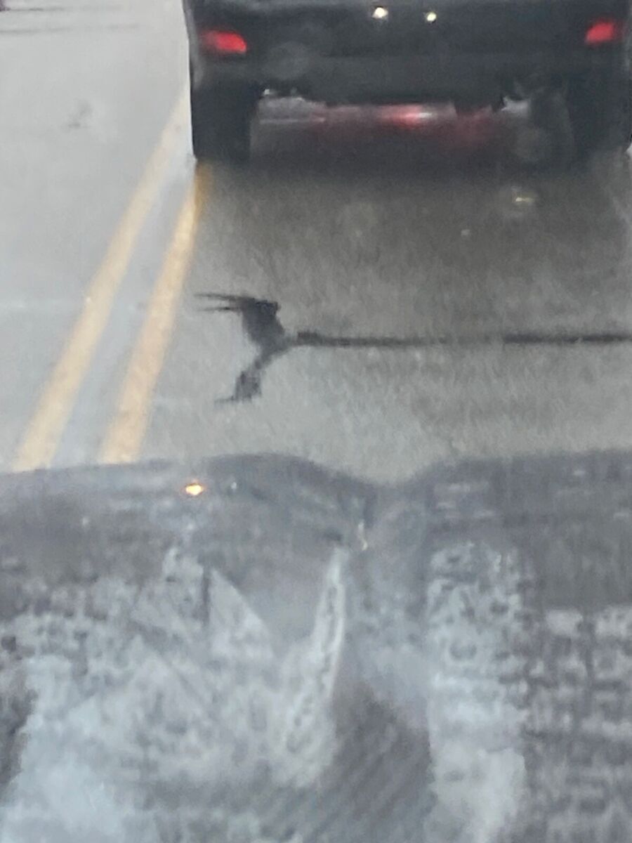 1970 Chevrolet Chevelle SS - photo 12