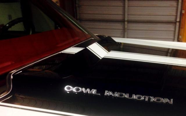 1970 Chevrolet Chevelle SS396 Convertible - photo 10