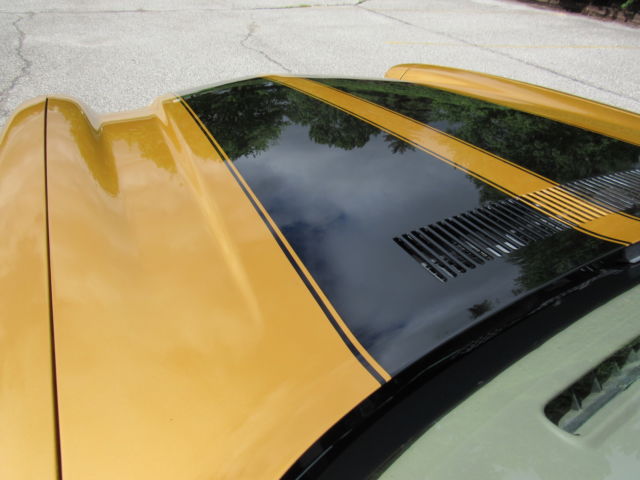 1970 Chevrolet Camaro Z-28 Clone - photo 12