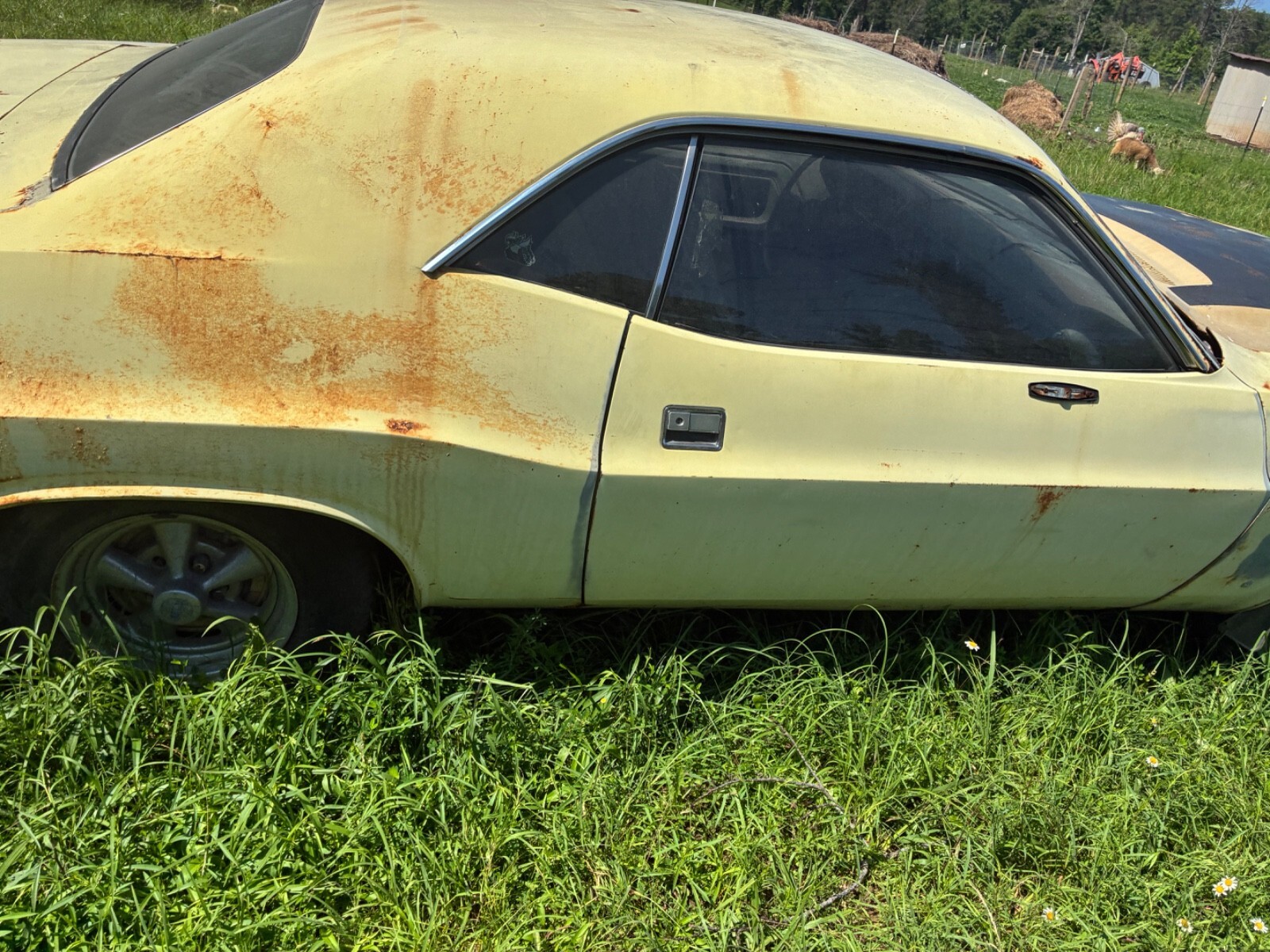 1970 Dodge Challenger - photo 5